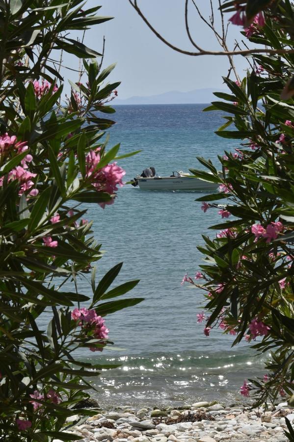 Seaside Home In Kardiani/Giannaki Bay - Agnes'S Home Экстерьер фото
